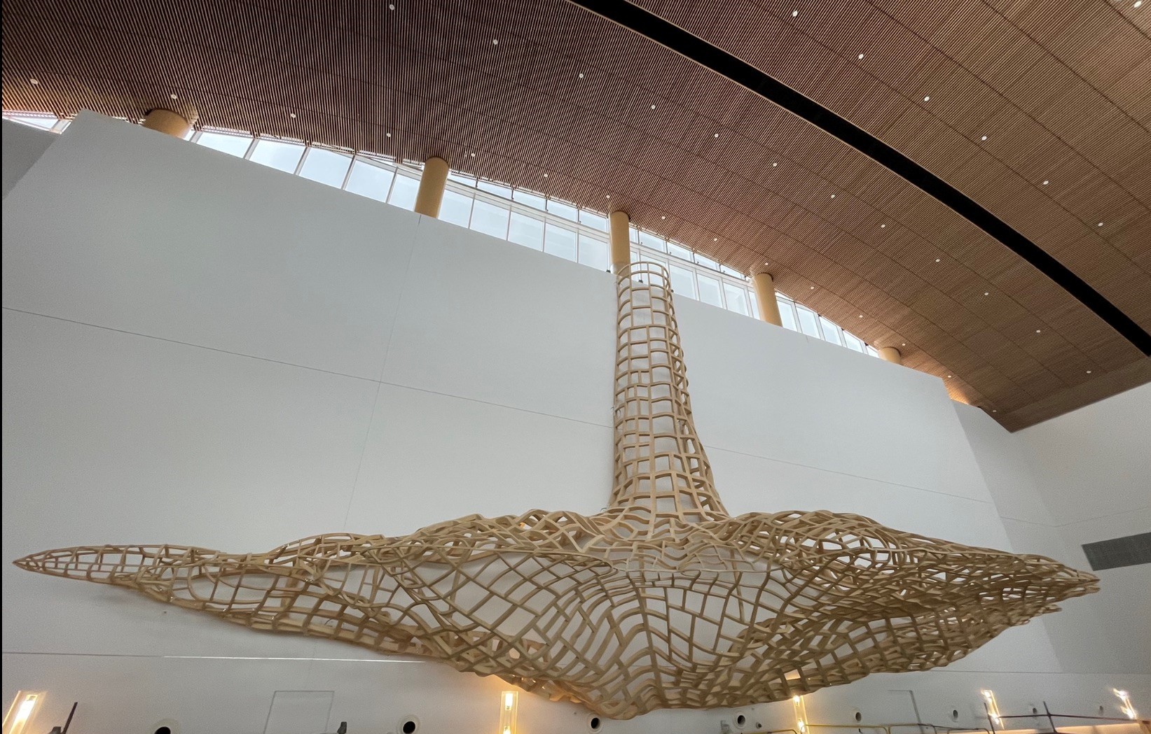 An Ode to Nature: Art in the N Concourse | Port of Seattle